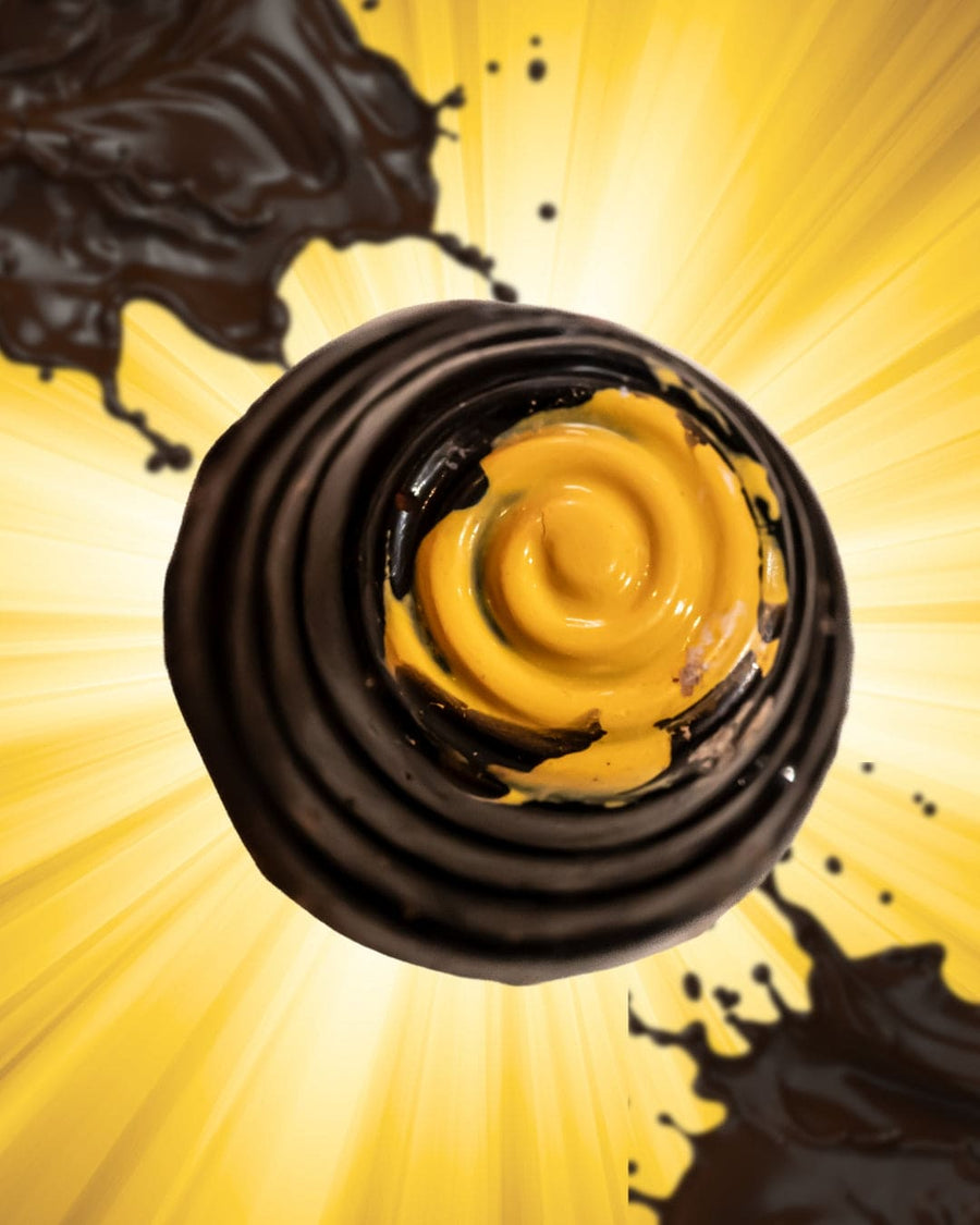 Boîte de 9 chocolats fins assortis véganes