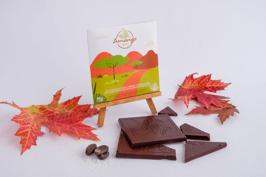 Chocolat noir - fleur de sel et érable
